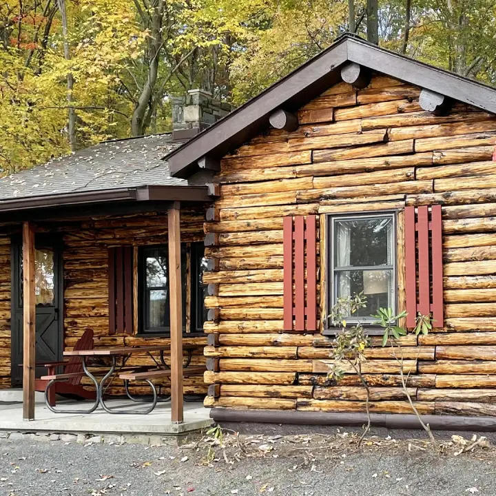 Cabins For Rent